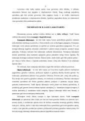 Gamybos kaštai ir jų rūšys pelno maksimizavimas 4 puslapis