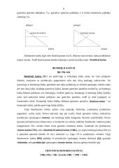 Gamybos kaštai ir jų rūšys pelno maksimizavimas 6 puslapis