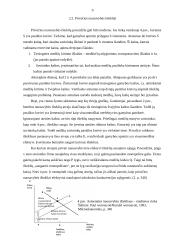 Gamtos išteklių naudojimas bei klasifikavimas 9 puslapis