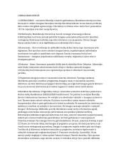 Politinių teorijų konspektas