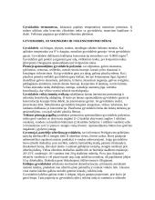 Gyvsidabris (Hydrargyrum) (Hg) 4 puslapis