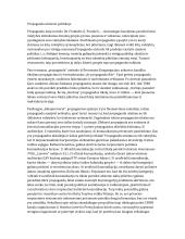 Propaganda užsienio politikoje