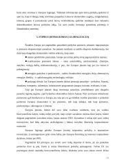 Globalinė prekyba 11 puslapis