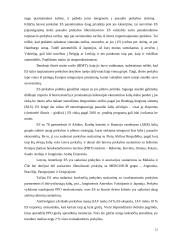 Globalinė prekyba 12 puslapis