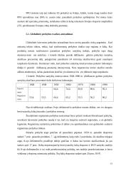 Globalinė prekyba 13 puslapis