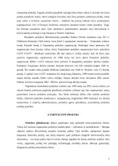 Globalinė prekyba 6 puslapis