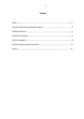 Grynasis praktinis protas 2 puslapis