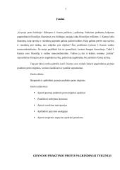 Grynasis praktinis protas 3 puslapis