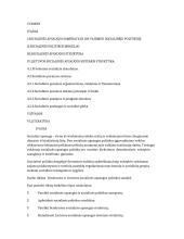 Socialinės apsaugos politikos įgyvendinimo teoriniai aspektai