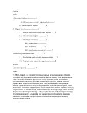 Tarptautinės sistemos raidos įtaka religiniam terorui