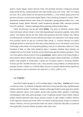 Įėjimo į rinką būdai ir metodai 11 puslapis