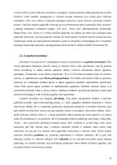 Įėjimo į rinką būdai ir metodai 13 puslapis