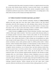 Įėjimo į rinką būdai ir metodai 14 puslapis