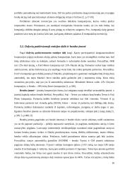 Įėjimo į rinką būdai ir metodai 18 puslapis