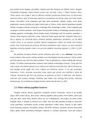 Įėjimo į rinką būdai ir metodai 19 puslapis