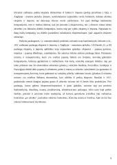 Įėjimo į rinką būdai ir metodai 9 puslapis