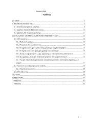 Ignalinos atominė elektrinė – pavojingas strateginis objektas 2 puslapis