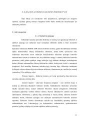 Ignalinos atominė elektrinė – pavojingas strateginis objektas 11 puslapis