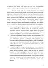 Ignalinos atominė elektrinė – pavojingas strateginis objektas 14 puslapis