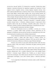 Ignalinos atominė elektrinė – pavojingas strateginis objektas 19 puslapis