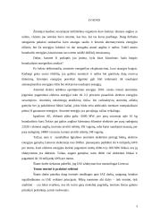 Ignalinos atominė elektrinė – pavojingas strateginis objektas 3 puslapis