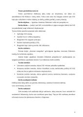 Ignalinos atominė elektrinė – pavojingas strateginis objektas 4 puslapis