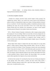 Ignalinos atominė elektrinė – pavojingas strateginis objektas 5 puslapis