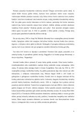 Ignalinos atominė elektrinė – pavojingas strateginis objektas 6 puslapis