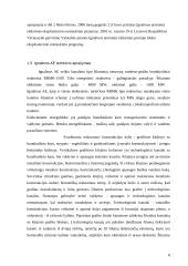 Ignalinos atominė elektrinė – pavojingas strateginis objektas 8 puslapis