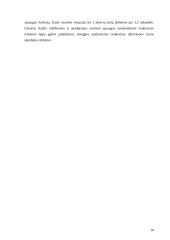 Ignalinos atominė elektrinė – pavojingas strateginis objektas 10 puslapis