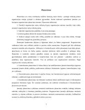 Įmonės analizė: prekyba gėlėmis UAB "Floralita" 2 puslapis