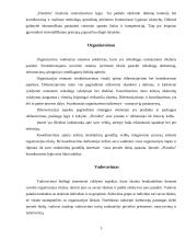 Įmonės analizė: prekyba gėlėmis UAB "Floralita" 3 puslapis