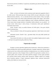 Įmonės analizė: prekyba gėlėmis UAB "Floralita" 6 puslapis