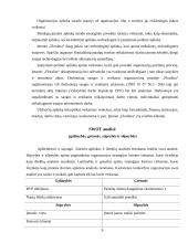 Įmonės analizė: prekyba gėlėmis UAB "Floralita" 8 puslapis