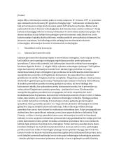 Informacinis amžius ir karas