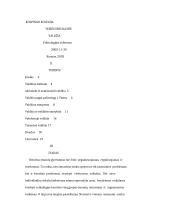 Valdžios šaltiniai, rūšys bei samprata