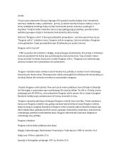 Šengeno erdvė, Europos pilietybės perspektyva