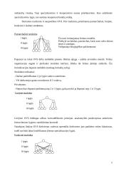 Įmonės veiklos analizė: Irenos Padleckienės IĮ "Ritos kepyklėlė" 9 puslapis