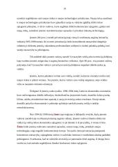 Infliacijos procesas ir ekonominis augimas Lietuvoje 13 puslapis