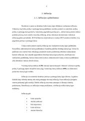 Infliacijos procesas ir ekonominis augimas Lietuvoje 3 puslapis