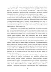 Išvestiniai vertybiniai popieriai, jų panašumai ir skirtumai 2 puslapis