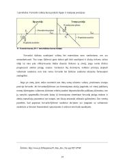 Išvestiniai vertybiniai popieriai, jų panašumai ir skirtumai 13 puslapis