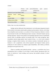 Išvestiniai vertybiniai popieriai, jų panašumai ir skirtumai 16 puslapis