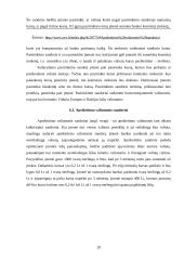 Išvestiniai vertybiniai popieriai, jų panašumai ir skirtumai 19 puslapis