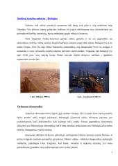 Žinios apie Jungtinius Arabų Emyratus 6 puslapis