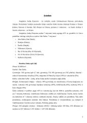 Jungtiniai Arabų Emyratai: Dubajaus ekonominė plėtra 3 puslapis