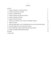 Kaimo turizmo esmė, politika bei plėtra 2 puslapis