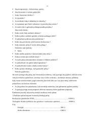 Kaimo turizmo esmė, politika bei plėtra 14 puslapis