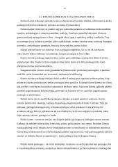 Kaimo turizmo esmė, politika bei plėtra 16 puslapis