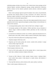 Kaimo turizmo esmė, politika bei plėtra 19 puslapis